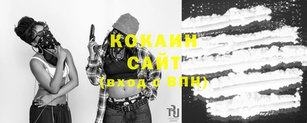 стаф Новозыбков
