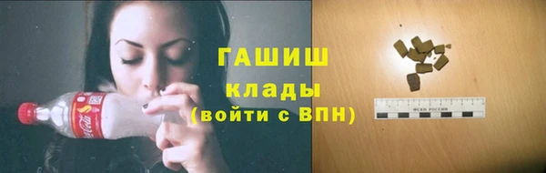 стаф Новозыбков