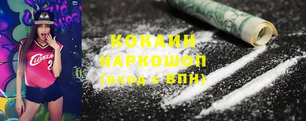 стаф Новозыбков