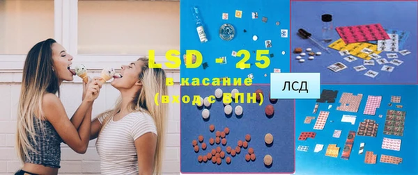 стаф Новозыбков