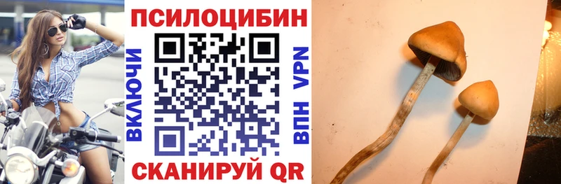 как найти закладки  Хилок  Галлюциногенные грибы Magic Shrooms 