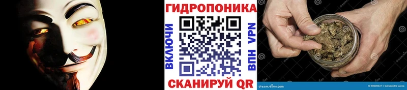 Конопля семена  Хилок 
